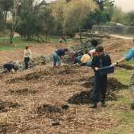 Many volunteers, including local scouts, helped with the extensive planting done in 1994.
